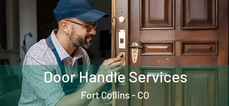 Door Handle Services Fort Collins - CO