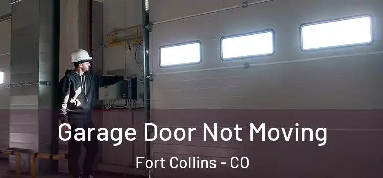  Garage Door Not Moving Fort Collins - CO