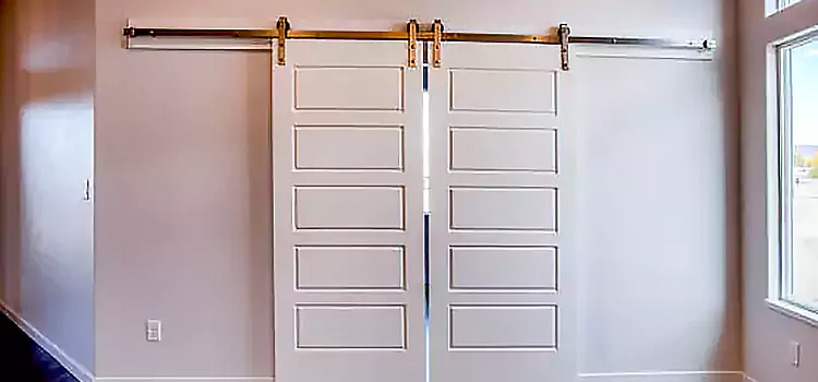 Glass Barn Door with Installation Hardware Kit Fort Collins