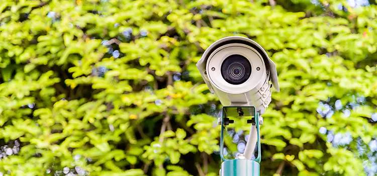 Advanced Surveillance Solutions for Every Need in Fort Collins