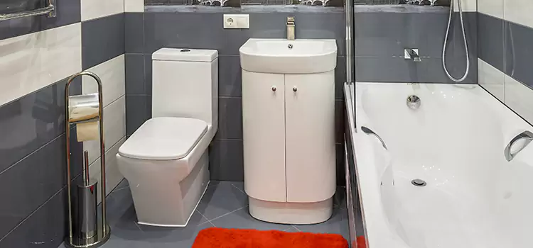 Hansgrohe Shaving Mirror Fort Collins