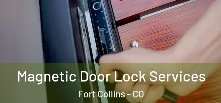  Magnetic Door Lock Services Fort Collins - CO