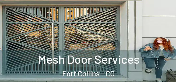 Mesh Door Services Fort Collins - CO