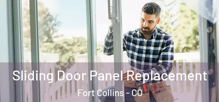  Sliding Door Panel Replacement Fort Collins - CO